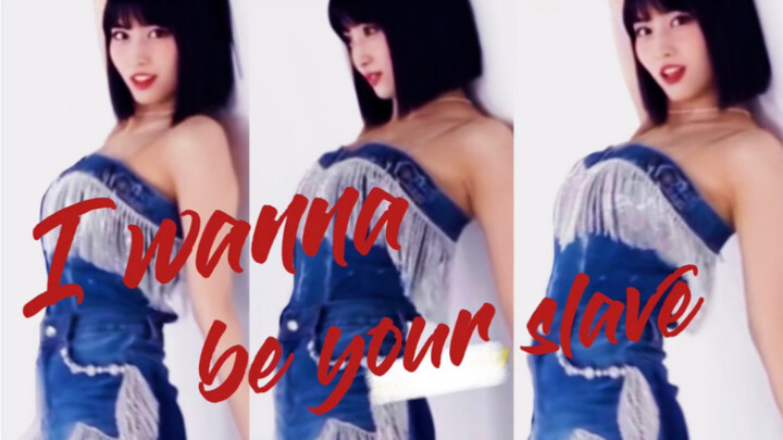 momo , can I be your dog ？