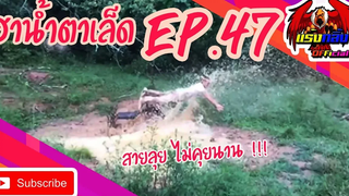 คลิปตลกต่างประเทศ ทั้งขำและสงสาร Best the Fails 2020