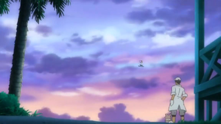 Tập 11 - [ Pokémon the Series- Sun & Moon ]