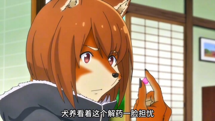 小狐狸姐姐！
