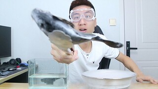 Can a live fish really be revived if it is placed in liquid nitrogen at minus 196 degrees Celsius an