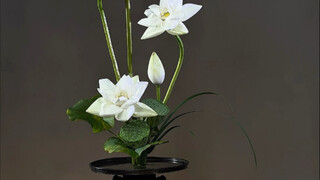 莲蓬与荷花荷叶中式插花教程#远征教插花 #中式插花 #东方插花 #生活美学 #花生活