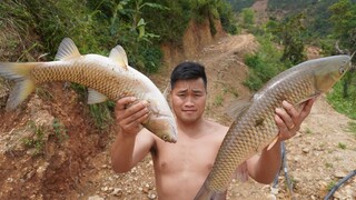 VẨY CÁ PHỒNG TÔM