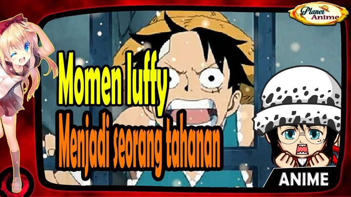 Momen luffy Menjadi seorang tahanan dari awal perjalan hingga saat ini