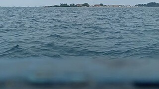 wave