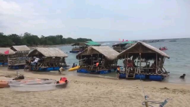 big shark in beach