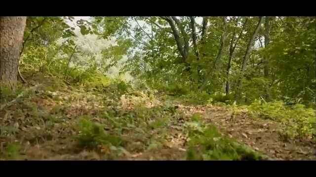 ๐ป๐๐ ๐ป๐๐๐๐๐๐๐
๐ท๐๐๐๐๐ Ep.06