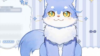 New cat debut [Elsa]