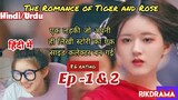 The Romance Of Tiger & Rose (Episode -1,2) Urdu/Hindi Dubbed #1080p # Kdrama #Cdrama #Kpop #Bts