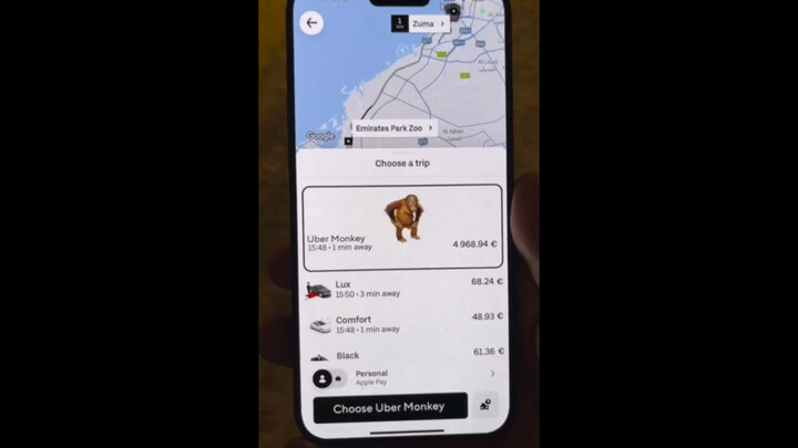 I just booked a monkey taxi, what's going on?