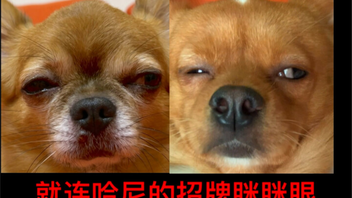 How Can Hani Realize His True Standing?