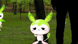 支配