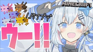 【Minecraft】ver1.17ホロ鯖でウーパールーパーさがし！！【天音かなた/ホロライブ】