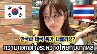 ความแตกต่างระหว่างไทยกับเกาหลี 한국과 태국은 뭐가 다를까요? [한/ไทย]