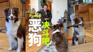 Cầm thanh kiếm của con đi, bố đã chuẩn bị xong rồi!