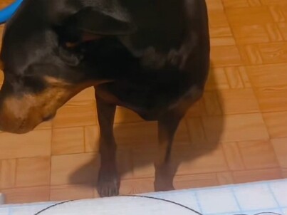 Sis, you're spending way too much on unnecessary stuff. Come to bro, and I'll hook you up with a who