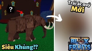 Roblox-Admin Tiết Lộ Trái Ác Quỷ Mới Sẽ Có Trong Update Sắp Tới??