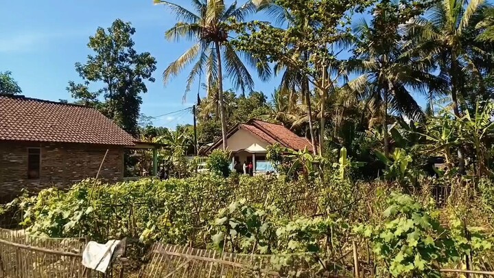 My Idul Fitri Traditions: A Personal Video Diary