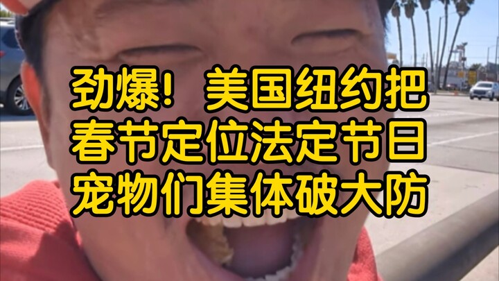 Donat memang enak! Wang Weiheng (seratus sembilan belas) Heboh! New York, Amerika Serikat menetapkan