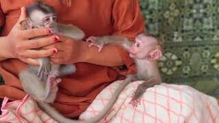 Mom trying to take Toto away when Yaya wants to bite her.