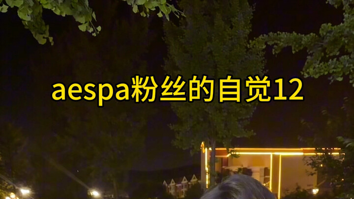 aespa Fans’ Awareness 12