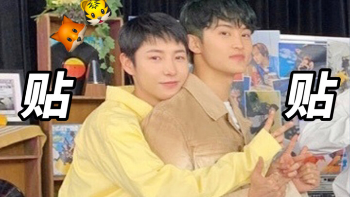 【When Big Brother MK returns, Junjun turns into a clingy little kitten】Chao Mi: Look! I have a big b