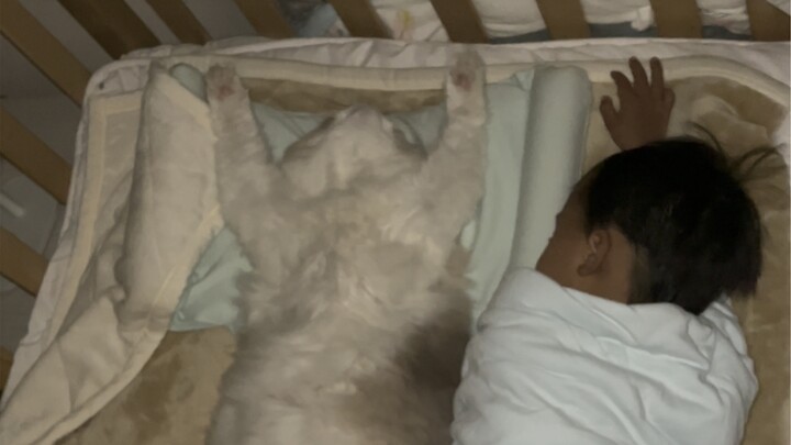 The plush toy I bought for my kid looks way too real. It’s perfect for lulling them to sleep—except 