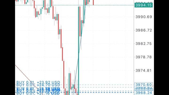 Forrex