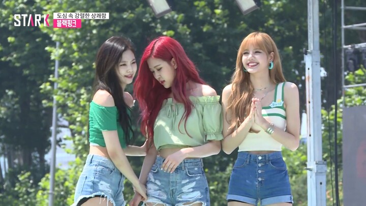 BLACKPINK Sprite Event: Individual On-Stage Camera Shots Showcase