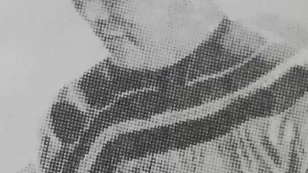 الآن عرفت لماذا كتب لو شون يوميات مجنون