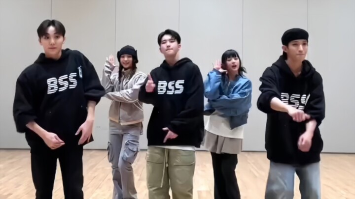 SVT cha过的女团舞合集