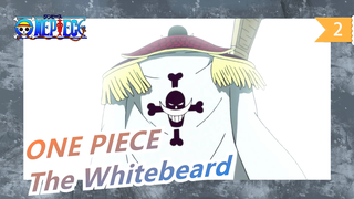 [ONE PIECE/Whitebeard] Blast The Whole Father's Day_2