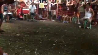 2ND WIN OF 4 , ITO LANG NAKUNAN MGA IDOL