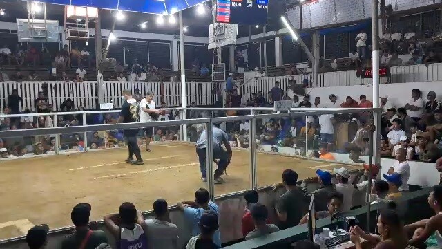 2hits pila laguna. 2nd fight win champ