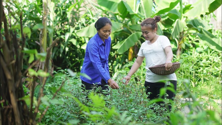 Về Thái Nguyên ăn bữa cơm quê Mẹ Hùng nấu cùng gà chạy bộ lá chanh thơm lừng #1222