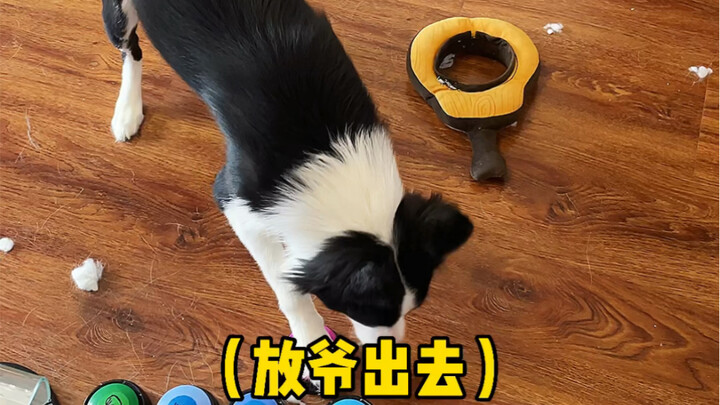 การสื่อสารประจำวันกับน้องหมา…