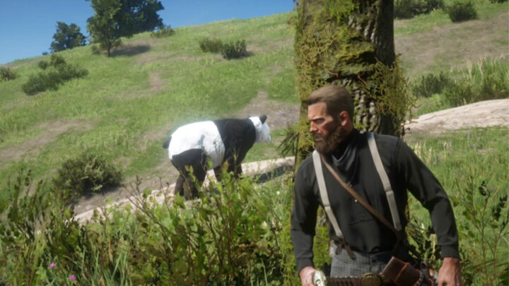 Can you eat pandas if you encounter them in the wild?