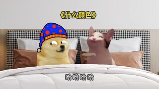 所以有人看懂了吗？