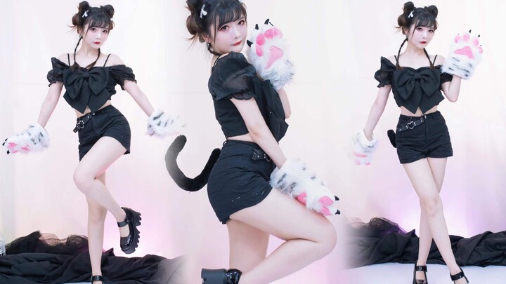 แกว่งแมว! เต้นกรงเล็บแมวฮาโลวีน ~ เขย่า ~