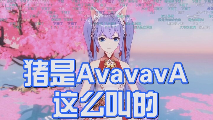 [向晚]猪会AvavaAvA这样叫