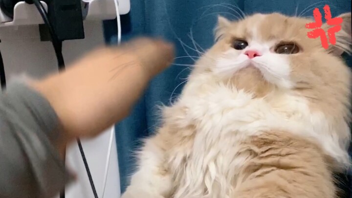 What are you upset about? I've got it all on camera—you hit me first!