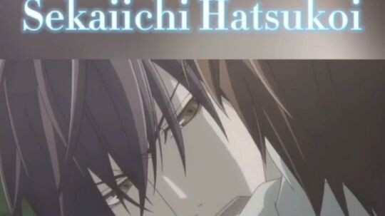 อนิเมะวาย,ซี่นี่วาย อนิเมะวายที่คุณห้ามพลาด! สาววายทุกท่านมารับชมกันเถอะ!!