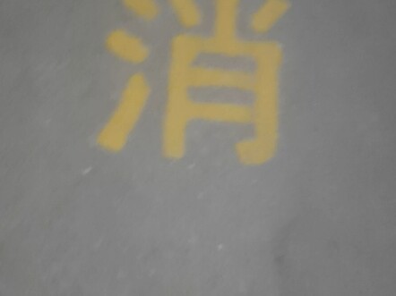 欸，沙币