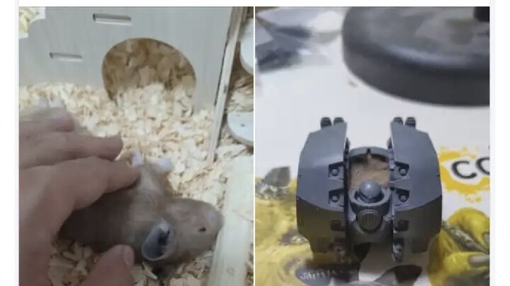 A Warhammer fan buried his deceased pet rat inside a Warhammer Dreadnought.