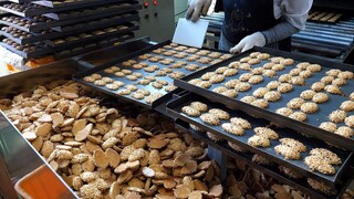 Nhà máy bánh kẹo làm đồ ăn nhẹ đậu phộng - Món ăn đường phố Hàn Quốc