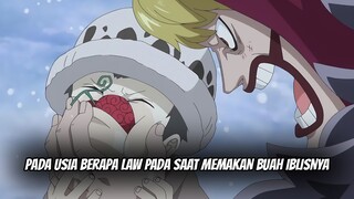 Usia trafalgar law saat memakan buah iblis op op no mi