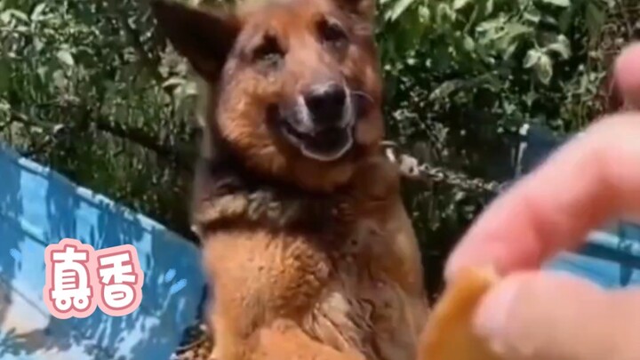 Sistem keamanan lumpuh total