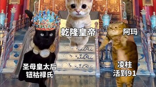 用猫meme讲述历史上甄嬛的一生（下）