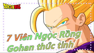 [7 Viên Ngọc Rồng Z MAD] Gohan thức tỉnh