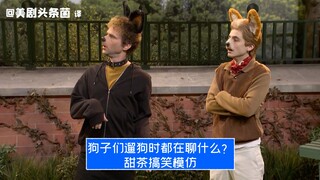 [SNL CC] What do dog owners chat about when they're out walking their dogs? Timothée Chalamet hilari